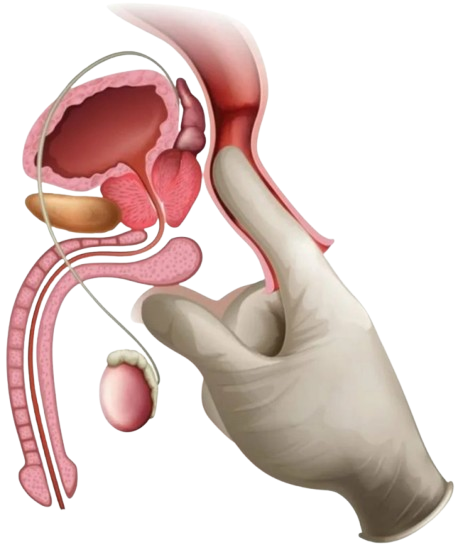 53 860x1024 removebg preview